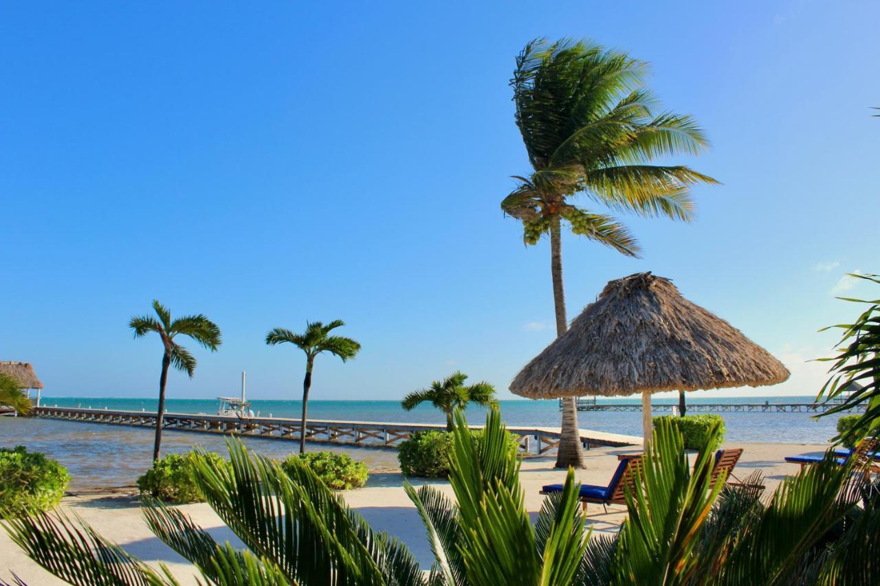 Hol Chan Reef Resort&Villas San Pedro  Esterno foto